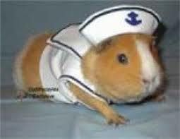 images_6.jpg